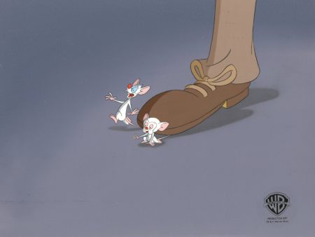 Pinky And The Brain Original Production Cel on Original Background: Pinky, Brain Online now