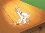 Pinky And The Brain Original Production Cel with Matching Drawing: Pinky, Brain Sale