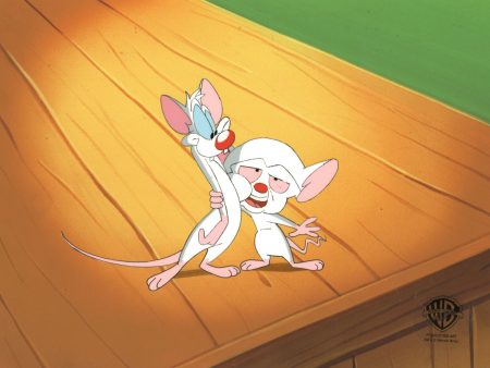 Pinky And The Brain Original Production Cel with Matching Drawing: Pinky, Brain Sale