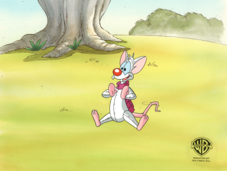 Pinky And The Brain Original Production Cel on Original Background: Pinky Online now