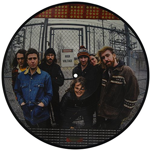 KING GIZZARD & THE LIZARD WIZARD - POLYGONDWANALAND (PICTURE DSIC) (VINYL) Supply